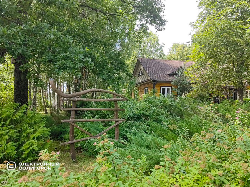 Дендропарк в Ясковичах. Достопримечательность Солигорского района