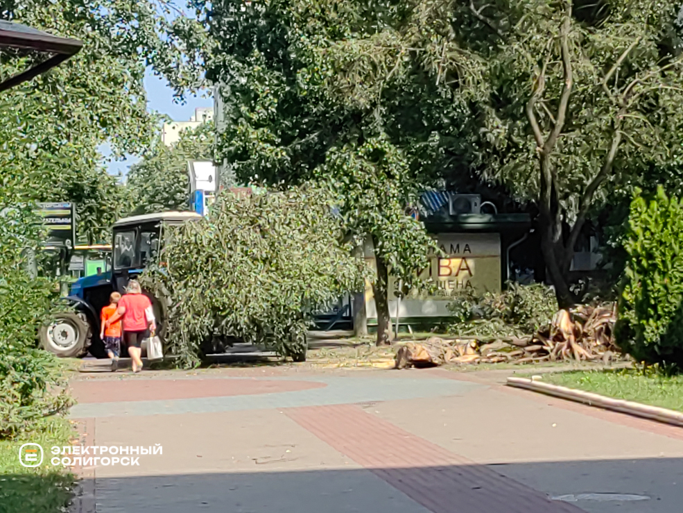 Последствия грозы в Солигорске