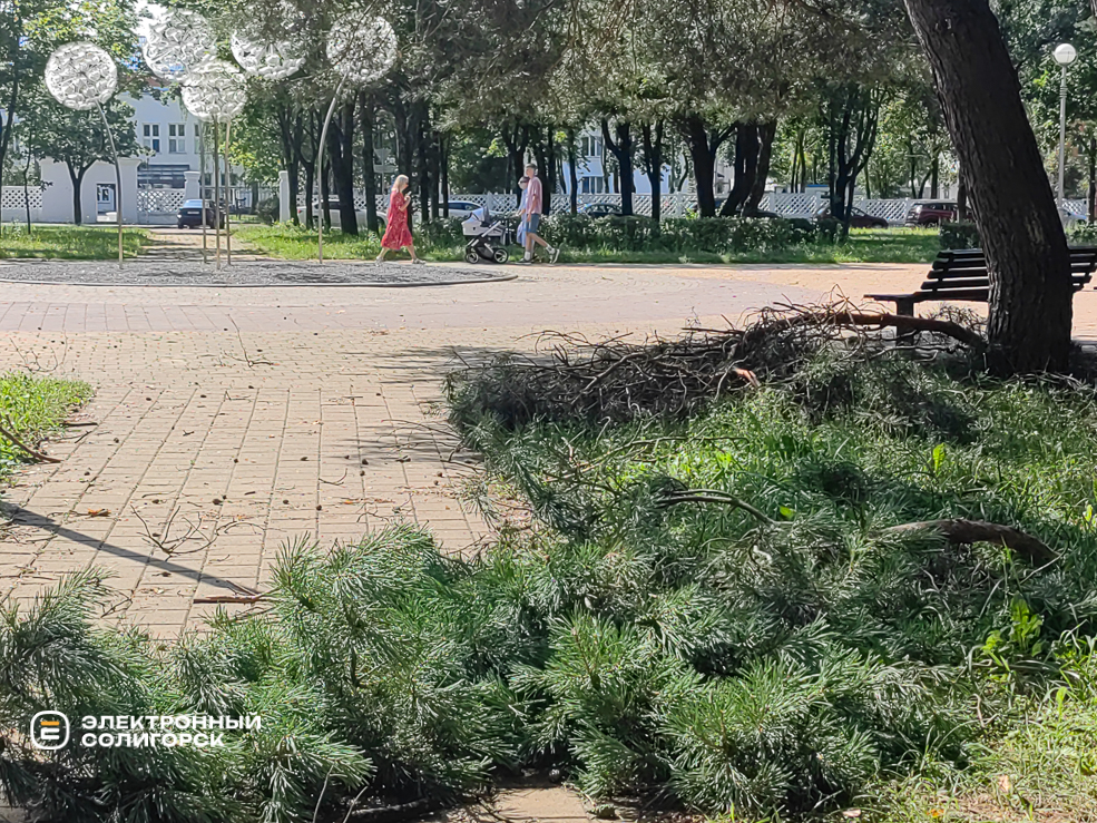 Последствия грозы в Солигорске