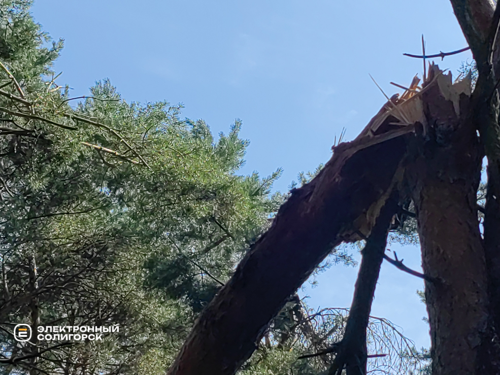 Последствия грозы в Солигорске