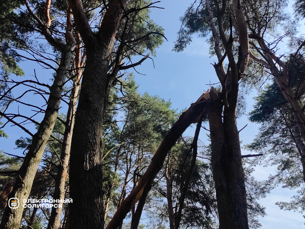 Солигорск город