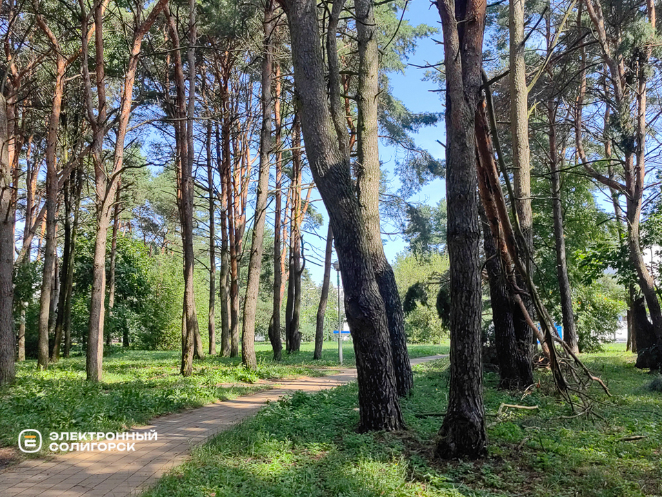 Последствия грозы в Солигорске