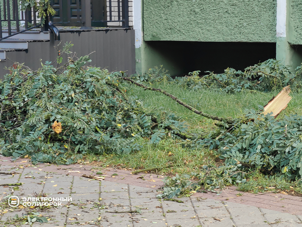 Последствия грозы в Солигорске