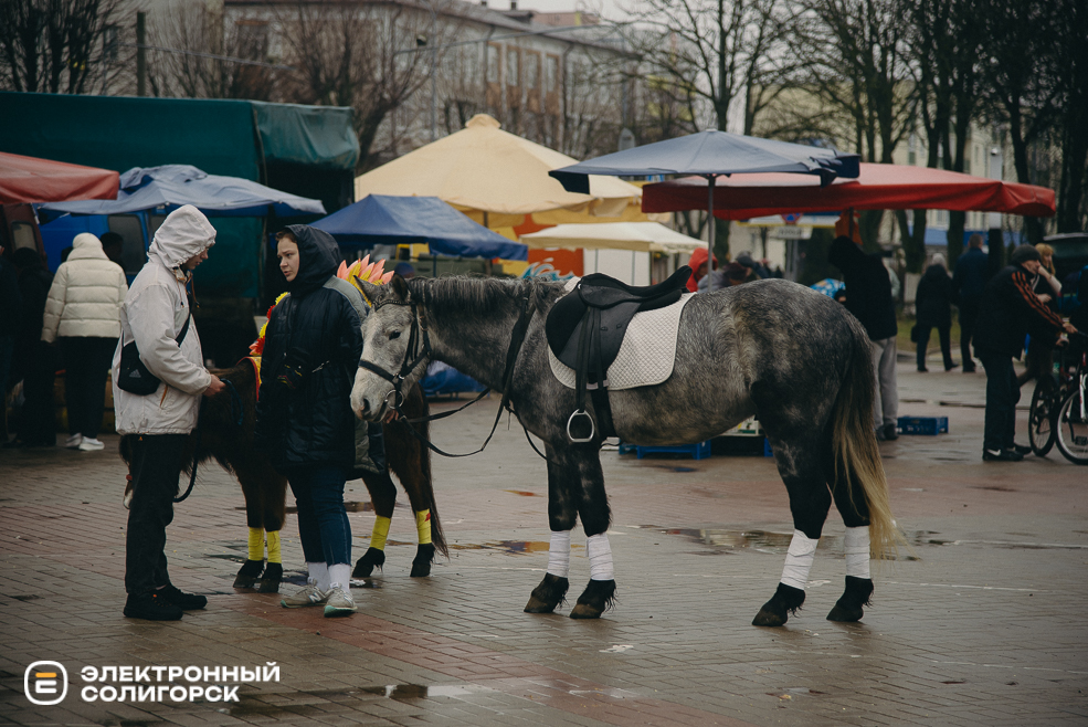 масленица 2024