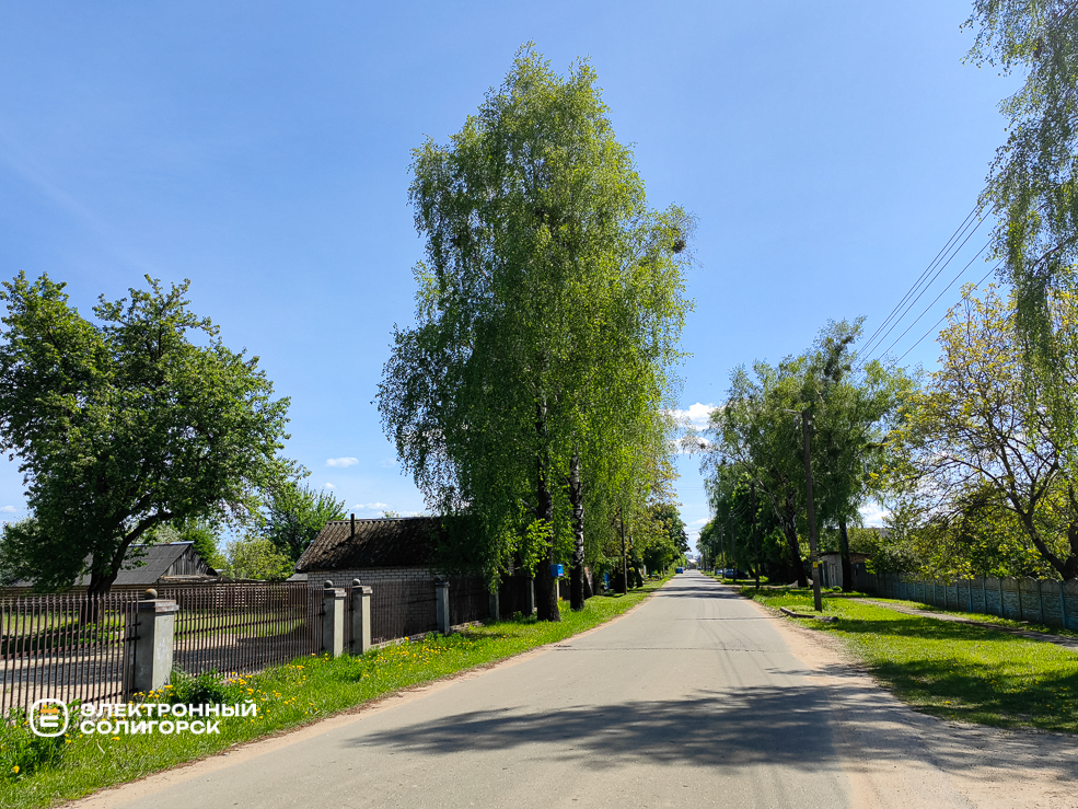 Чижовка Солигорского района