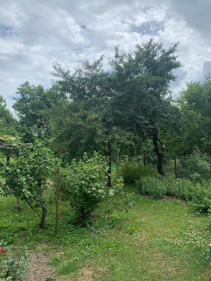 Дом в Красной Слободе Солигорского района