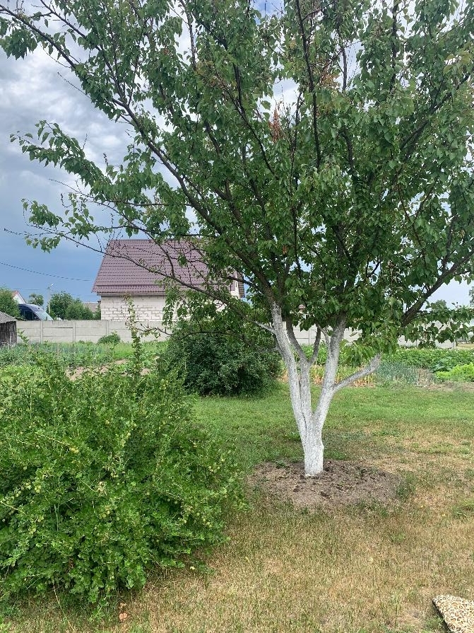 Дом в Красной Слободе Солигорского района