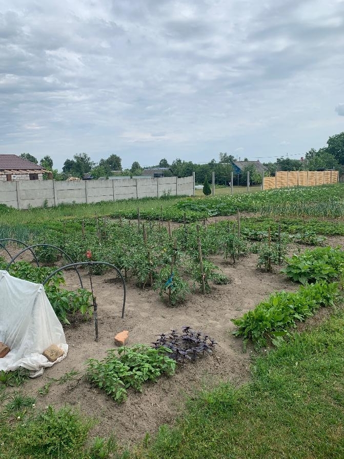 Дом в Красной Слободе Солигорского района