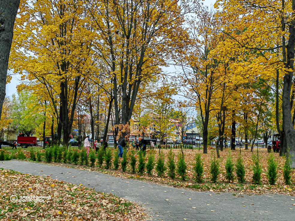 Сквер Молодость в Солигорске