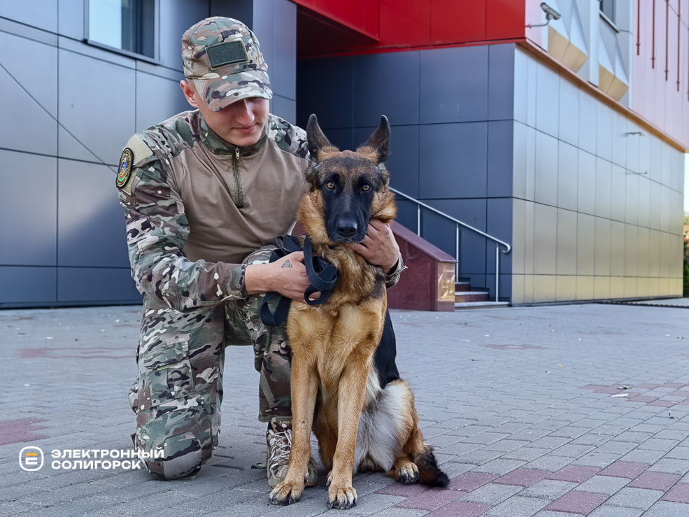 День города в Солигорске