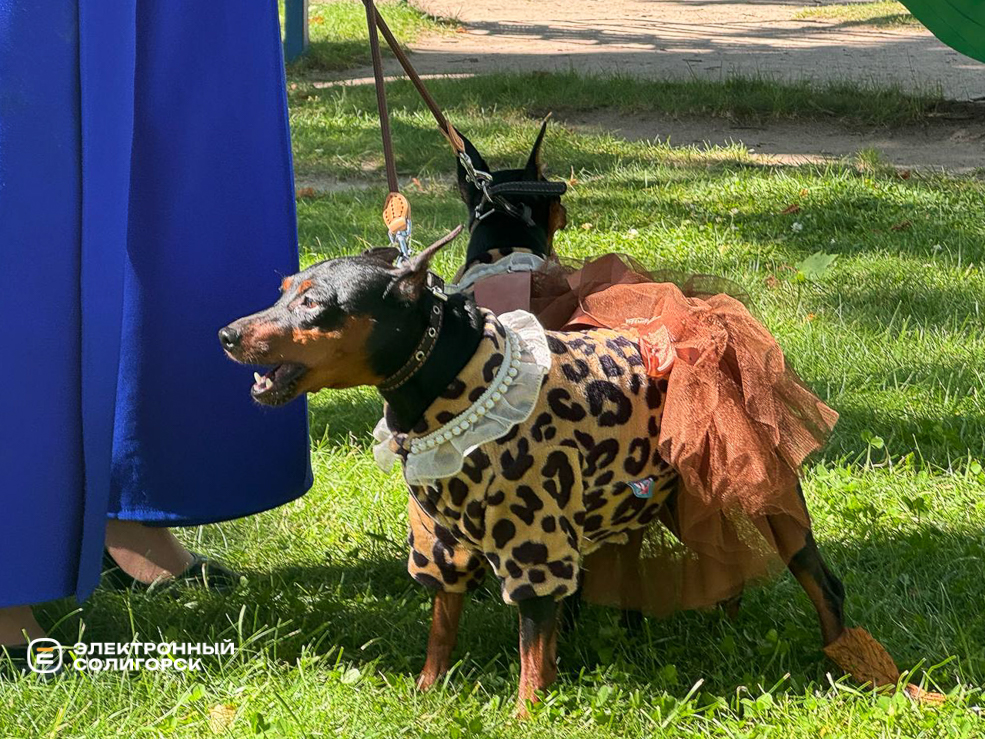 День города в Солигорске