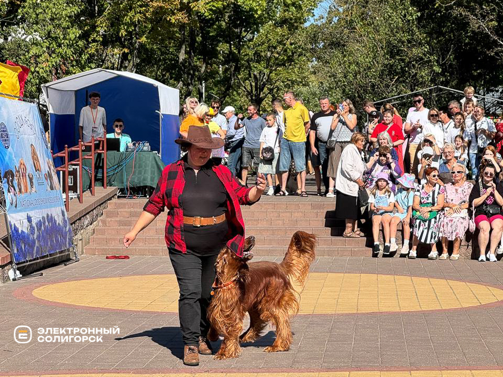 День города в Солигорске