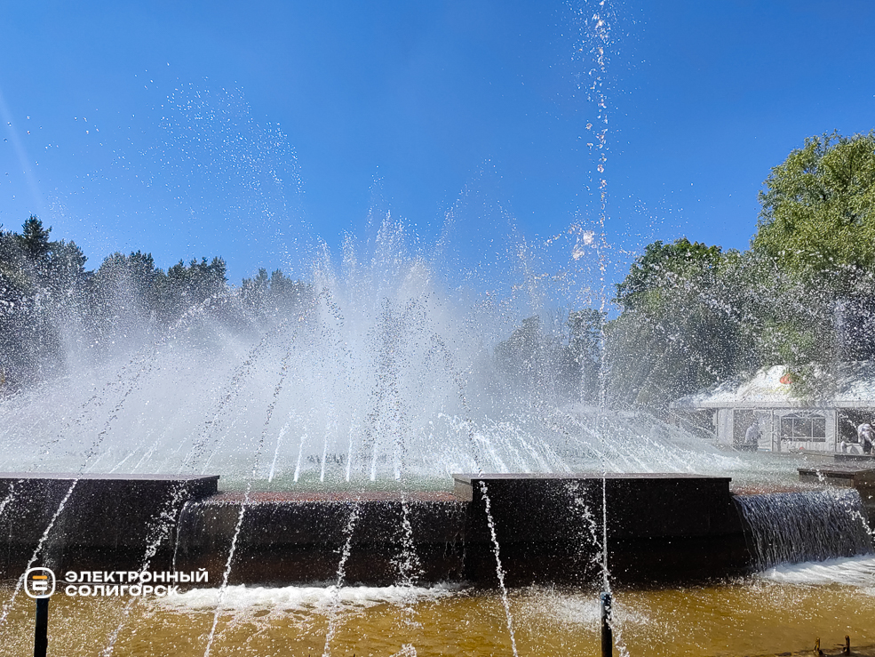 День Независимости в Солигорске