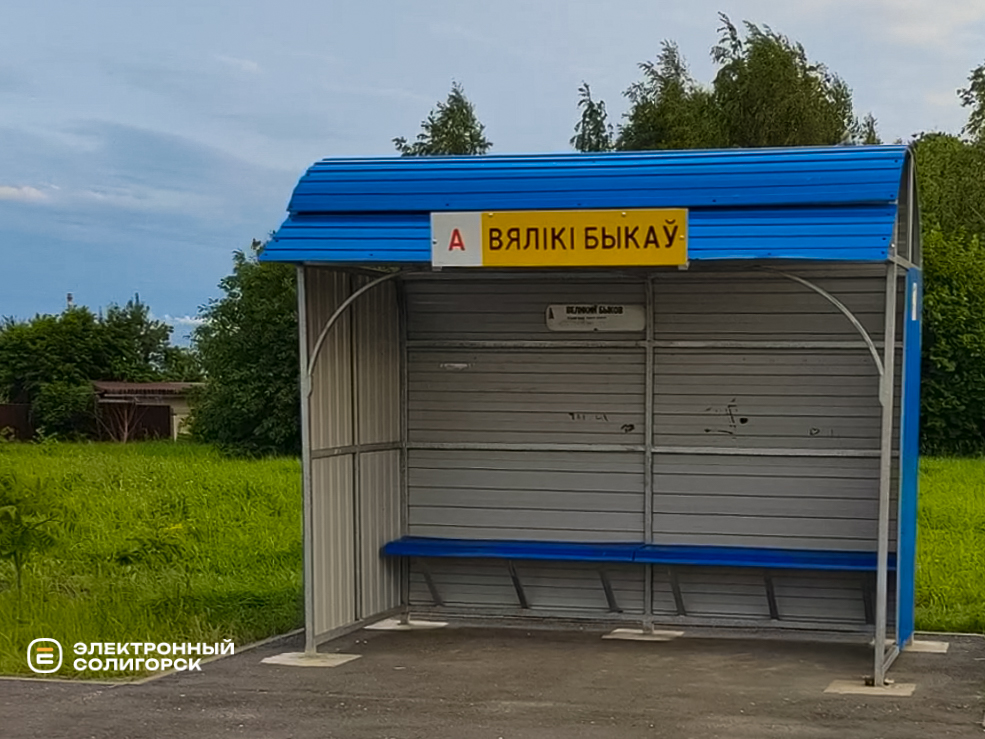 Деревня Великий Быков Слуцкого района