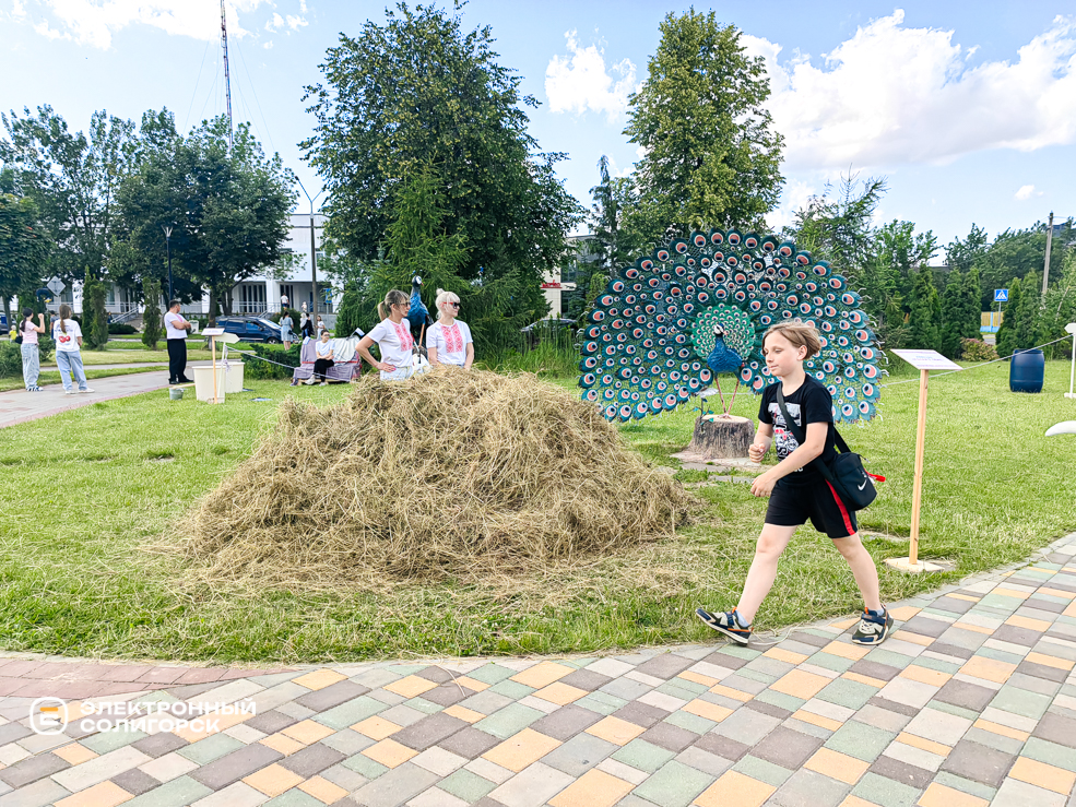 День молодёжи в Солигорске