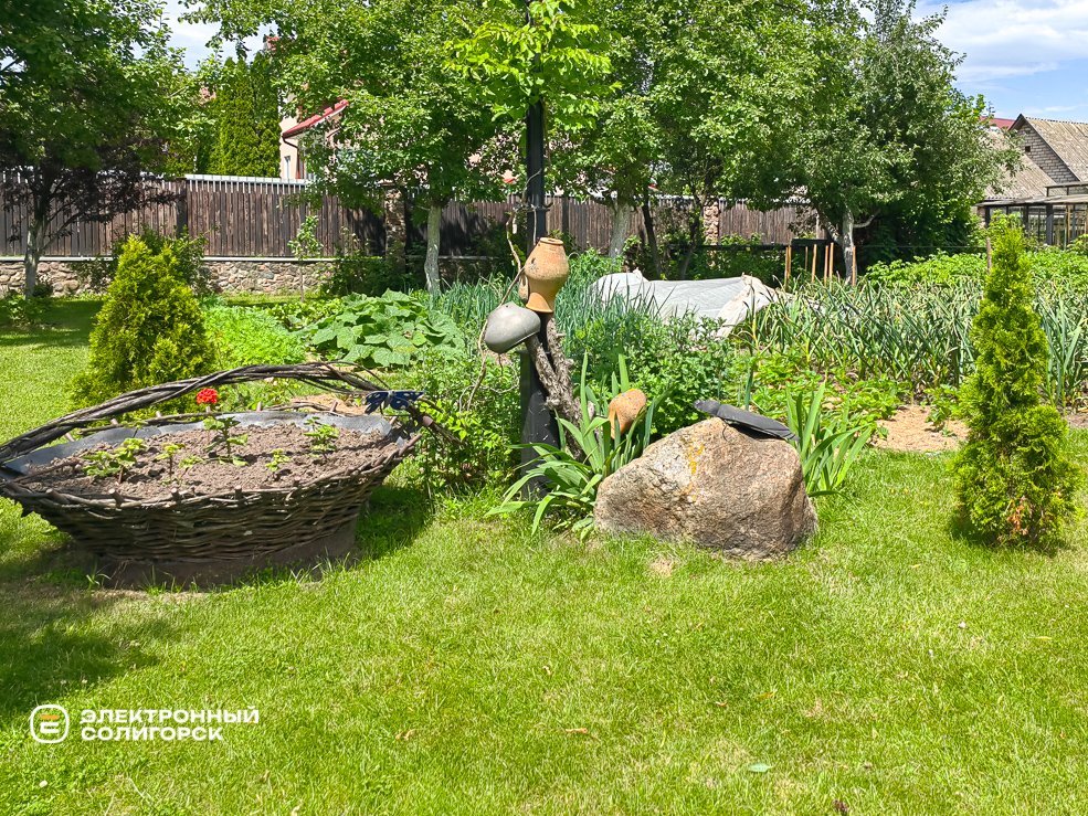 Куда сходить в Солигорске