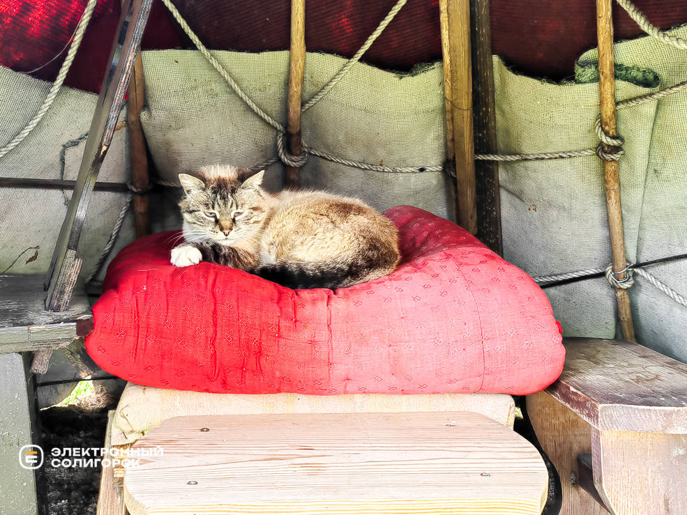 Куда сходить в Солигорске