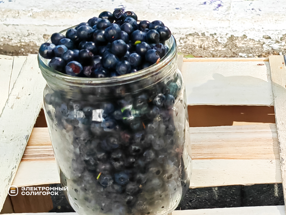 Черника в Солигорске
