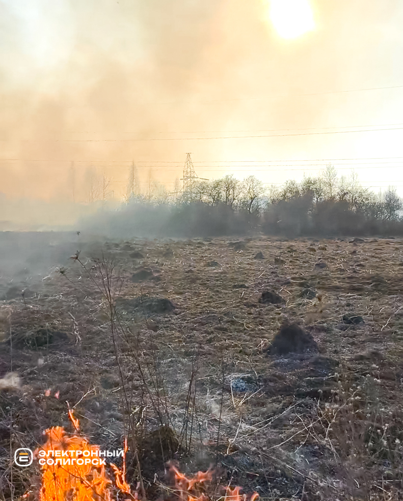 Пожар под Солигорском