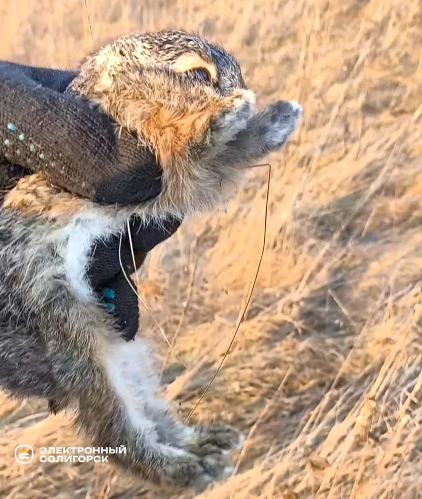 Пожар под Солигорском