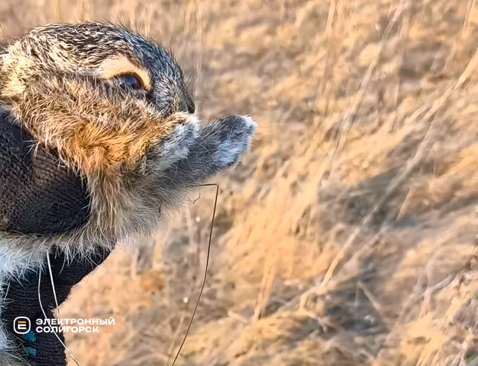 Пожар под Солигорском