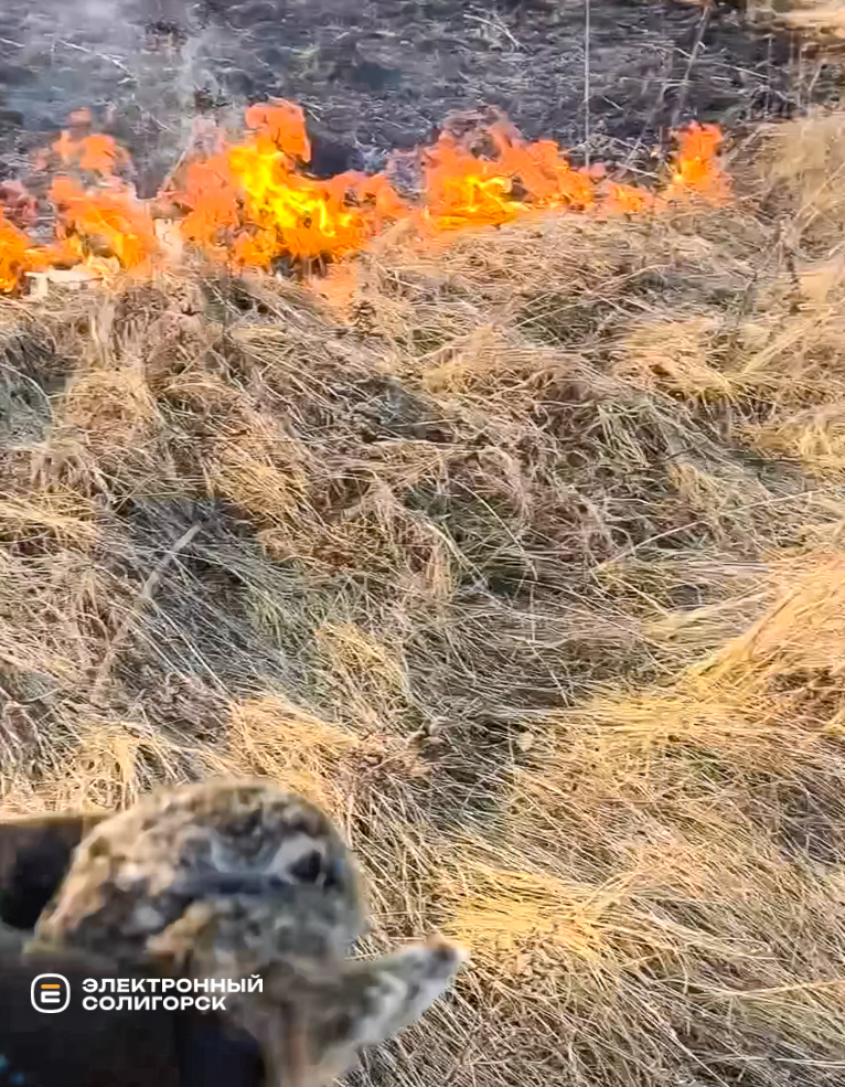 Пожар под Солигорском