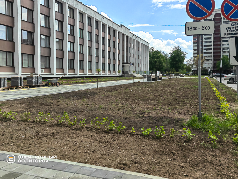 Озеленение Солигорска