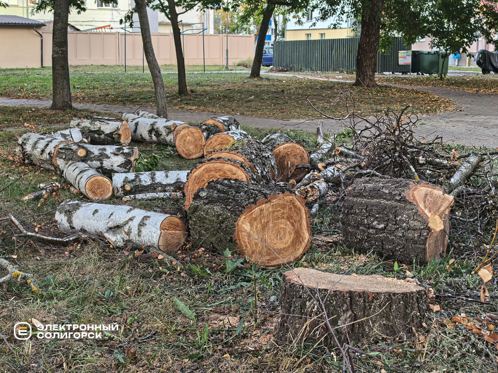 Сквер на улице Ленинского Комсомола в Солигорске