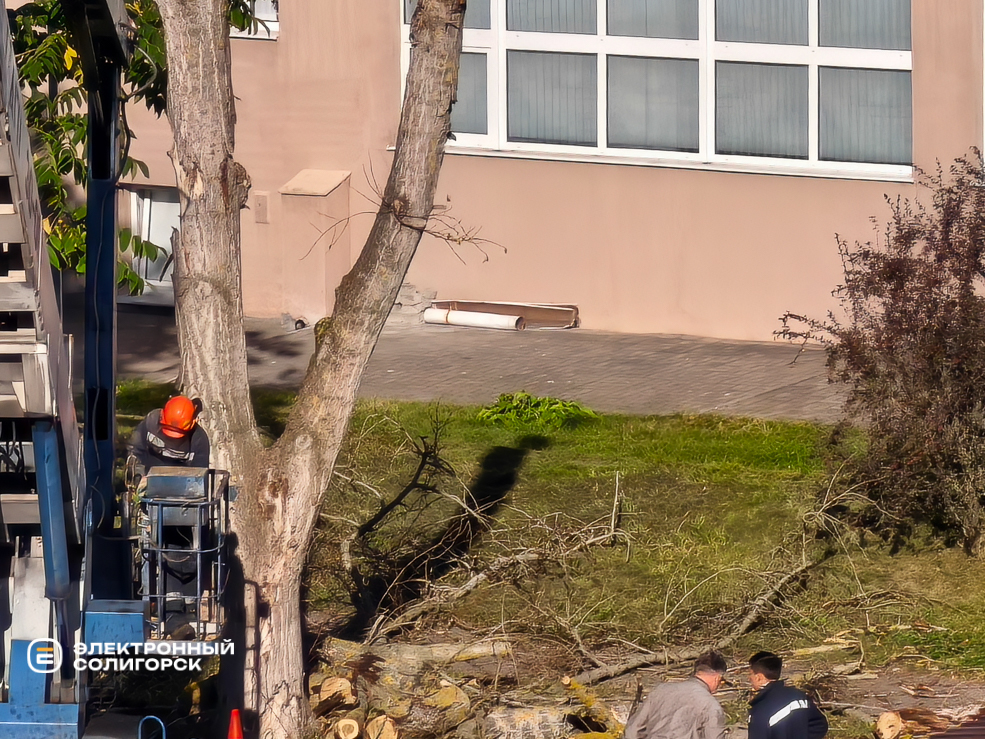 Сквер на улице Ленинского Комсомола в Солигорске