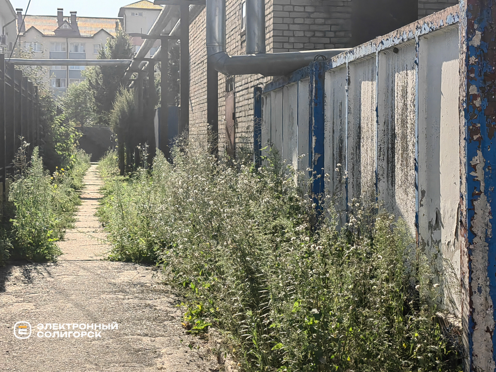 Адрес Службы заказчика Солигорского района