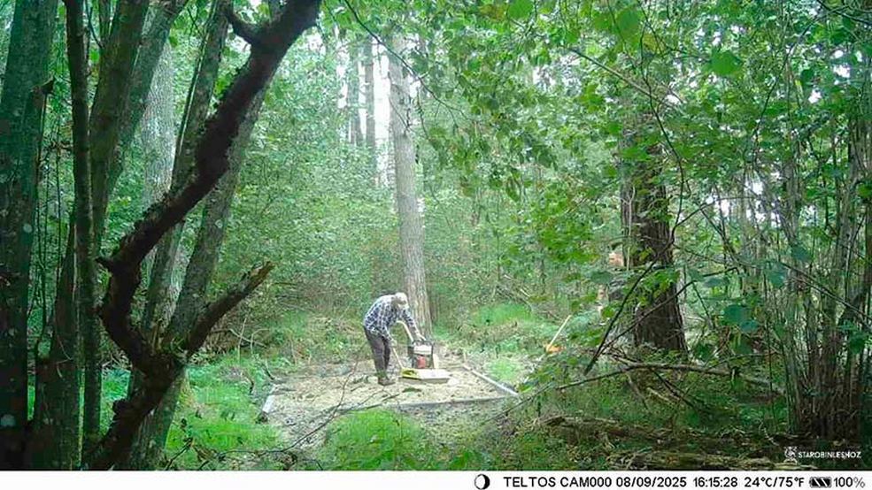 фотоловушка в солигорском лесу