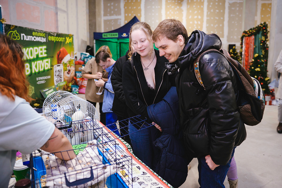 300 кг заботы: Евроопт поддержал фестиваль Город кошек