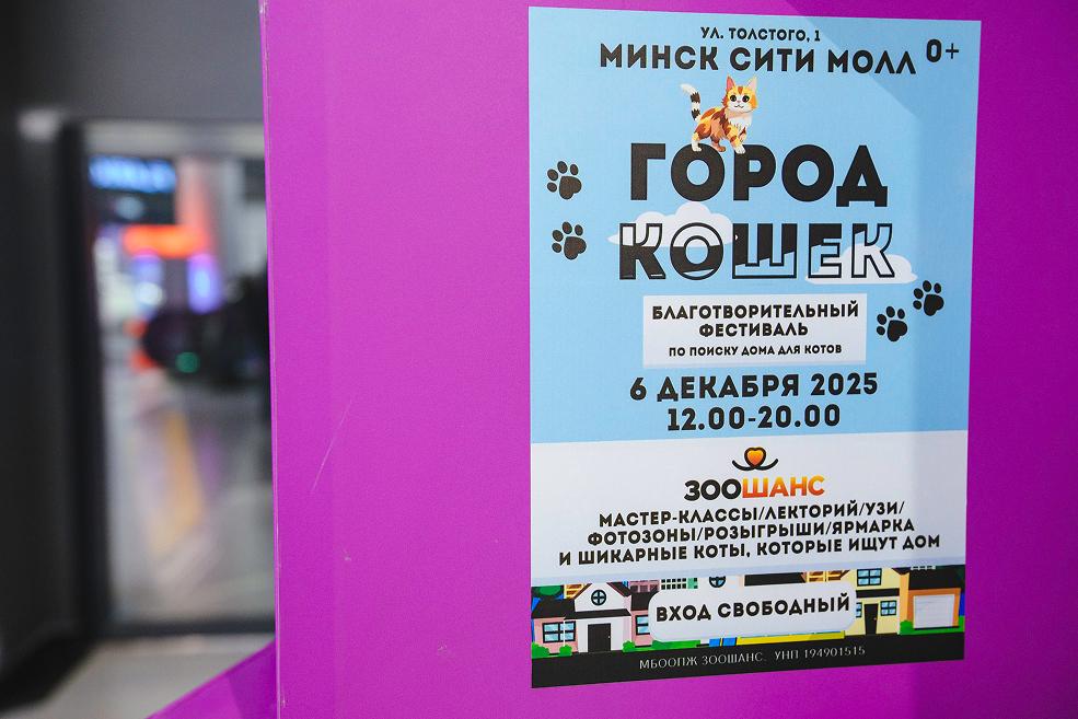 300 кг заботы: Евроопт поддержал фестиваль Город кошек