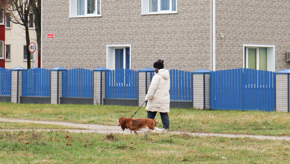 Прогулка с собакой в Солигорске