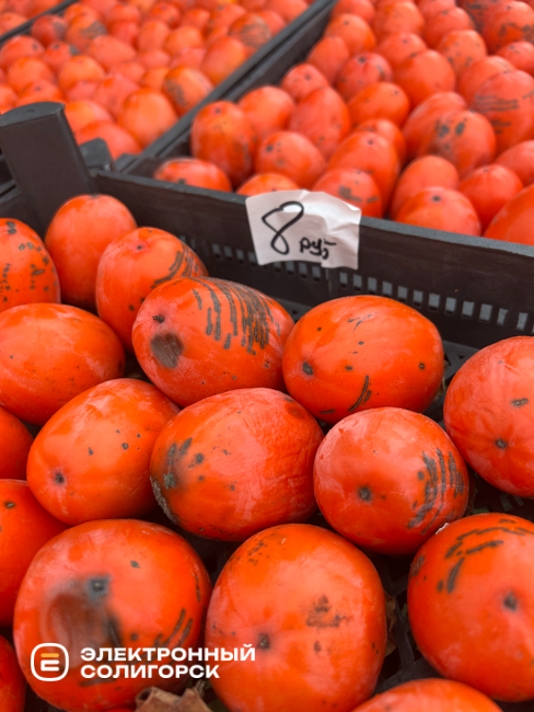 Почем хурма на рынке Октябрьском в Солигорске?