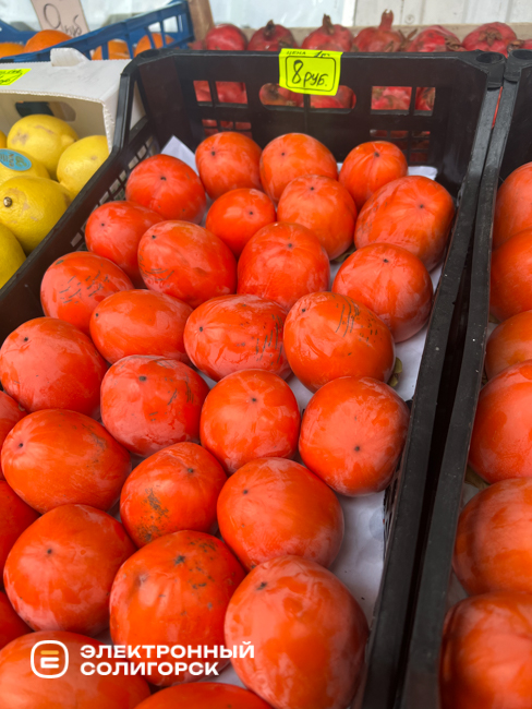 Почем хурма на рынке Октябрьском в Солигорске?
