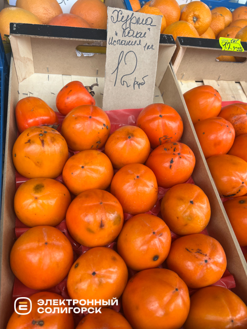 Почем хурма на рынке Октябрьском в Солигорске?
