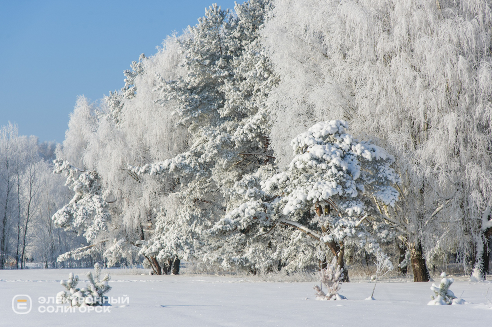 Зима 2026 в Солигорске