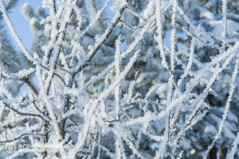 Зима 2026 в Солигорске