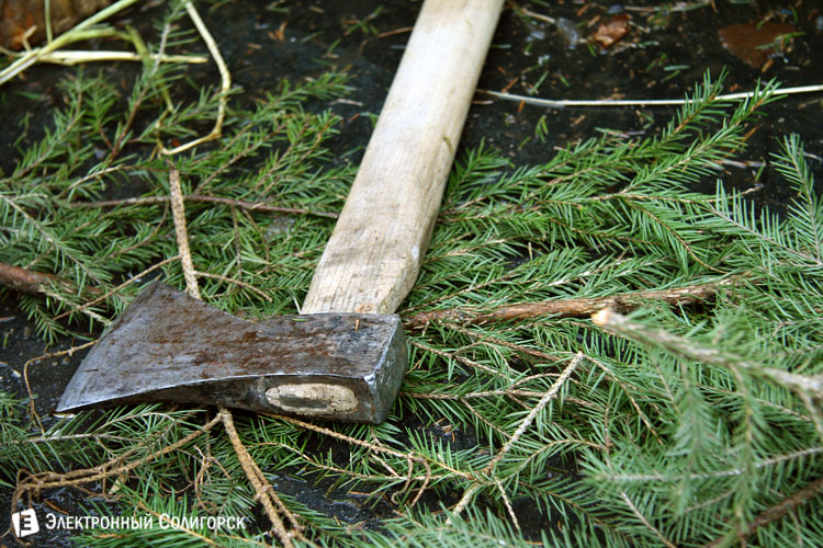 елочные базары Солигорск