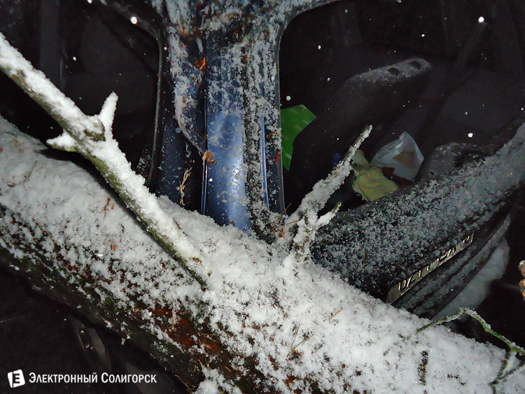 Дерево упало на авто в Солигорске