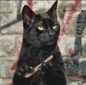 Аватара пользователя