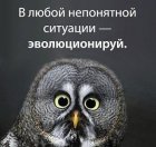 Аватара пользователя