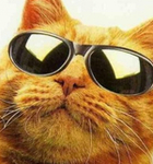 Аватара пользователя